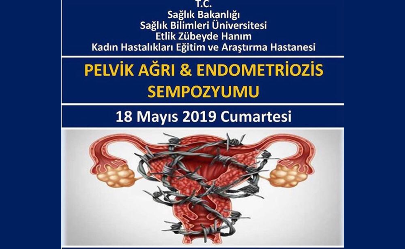 Pelvik A?r? ve Endometriozis Sempozyumu, Ankara